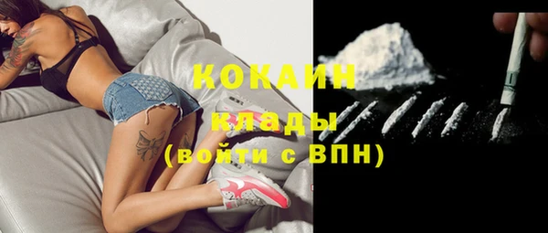 соль ск Кодинск
