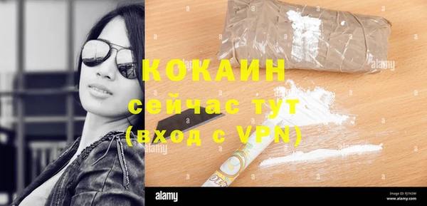 амф Козельск