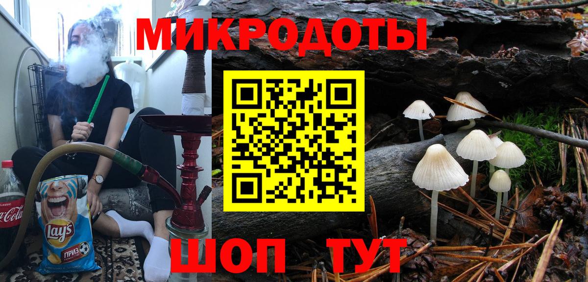 Псилоцибиновые грибы мицелий Норильск