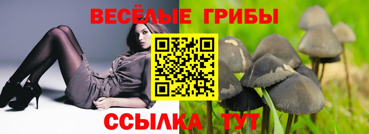 Норильск  Псилоцибиновые грибы Psilocybe  Вход с VPN 